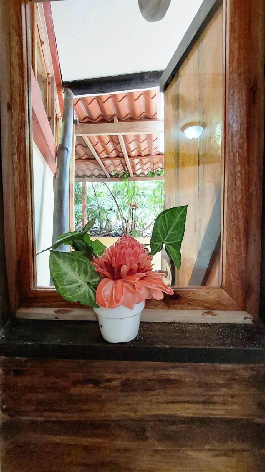 Se Ua Bed & Breakfast Manzanillo  Dış mekan fotoğraf