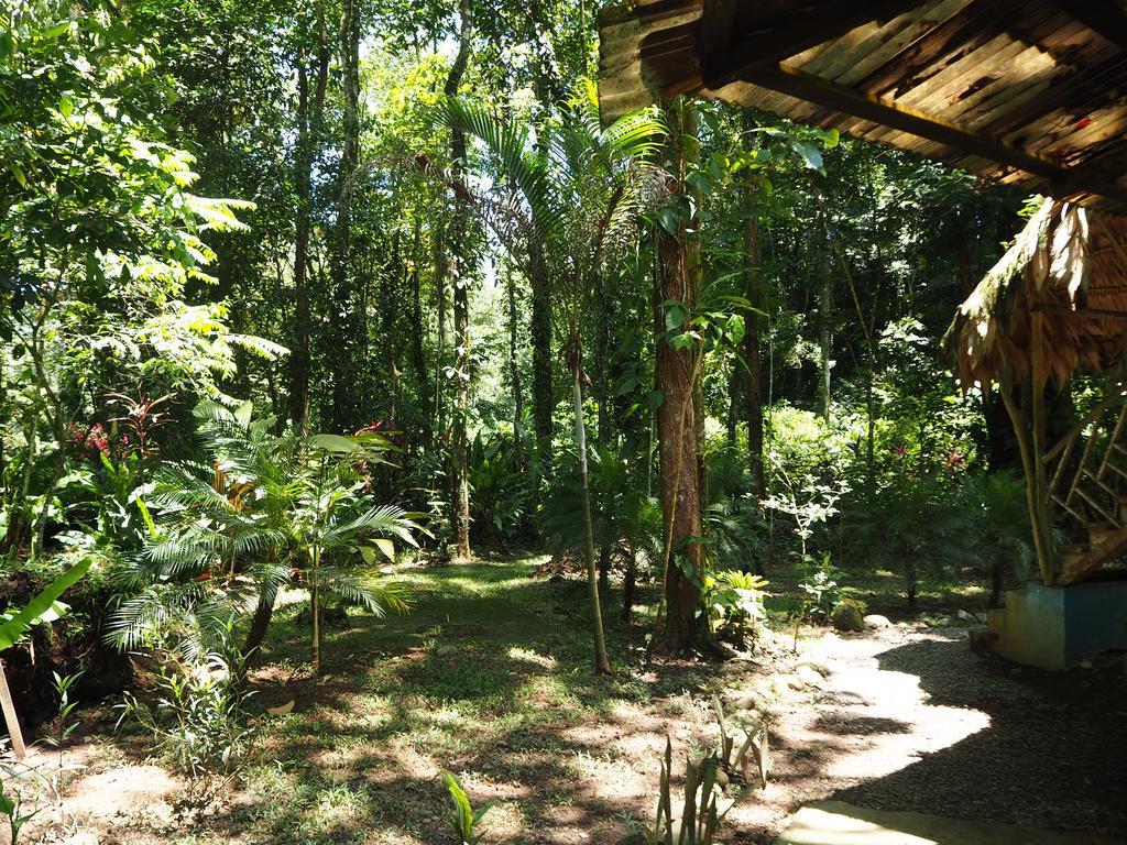 Se Ua Bed & Breakfast Manzanillo  Dış mekan fotoğraf